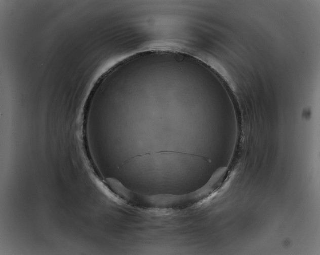 X0000101441037200807141301