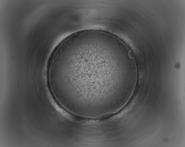 X0000101441038200807141301