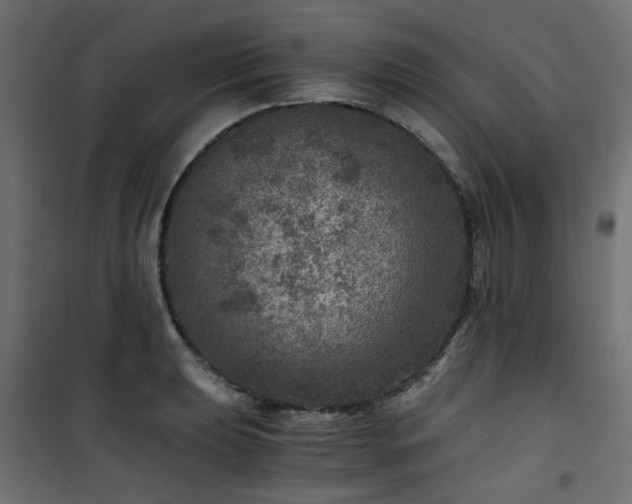 X0000101441039200807141301