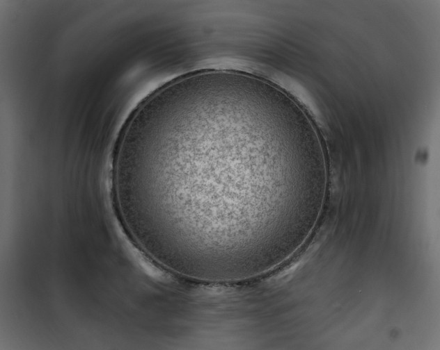 X0000101441040200807141301