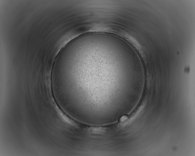 X0000101441041200807141301