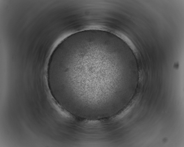 X0000101441043200807141301