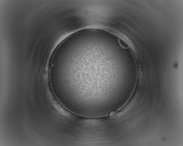 X0000101441044200807141301