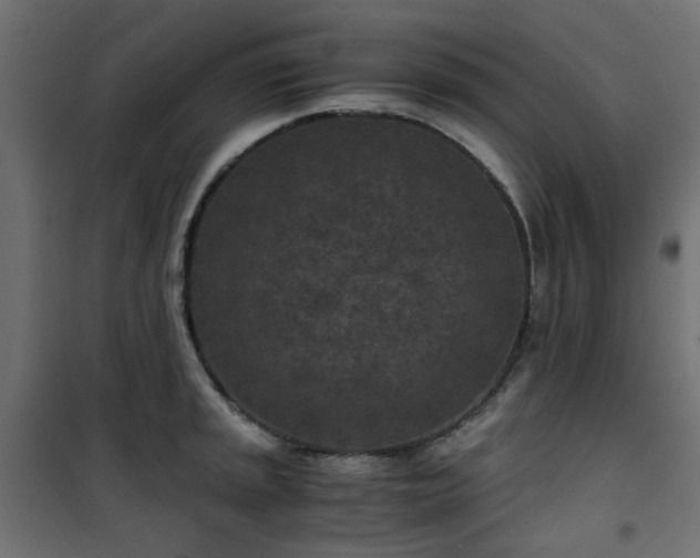 X0000101441045200807141301