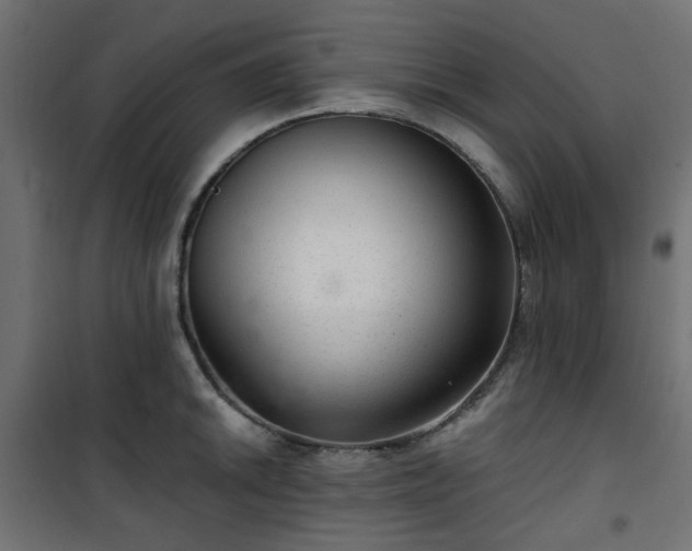 X0000101441046200807141301