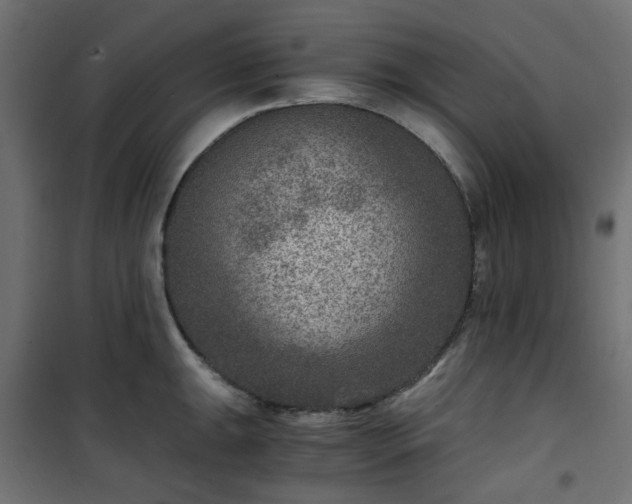 X0000101441047200807141301