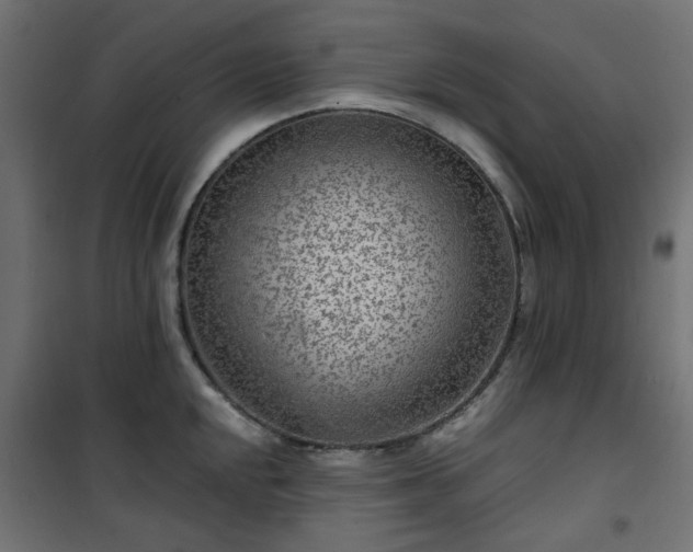 X0000101441048200807141301