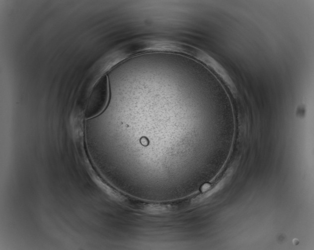 X0000101441049200807141301