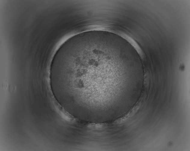 X0000101441051200807141301