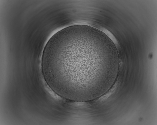 X0000101441052200807141301