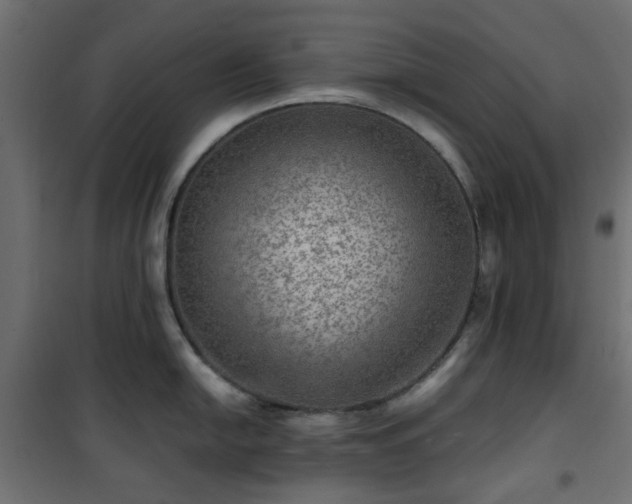 X0000101441054200807141301