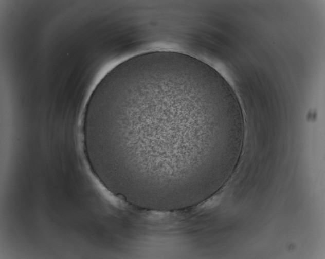 X0000101441056200807141301