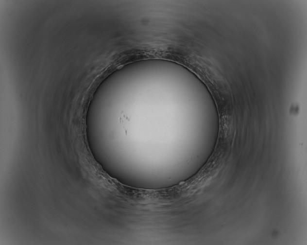 X0000101441057200807141300