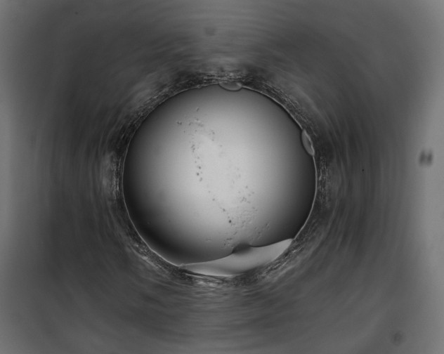 X0000101441058200807141300