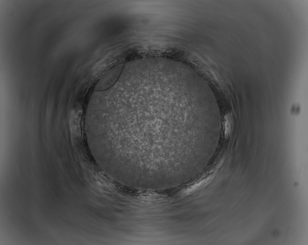 X0000101441059200807141300