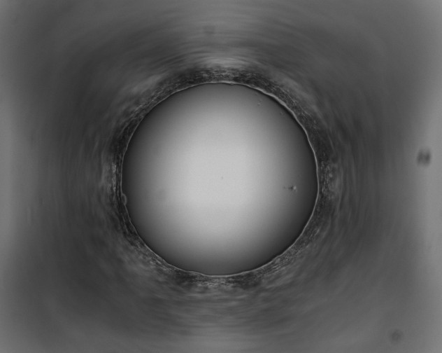 X0000101441061200807141300