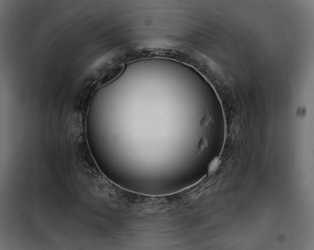 X0000101441062200807141300