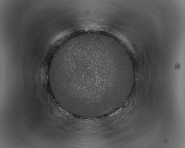 X0000101441063200807141300