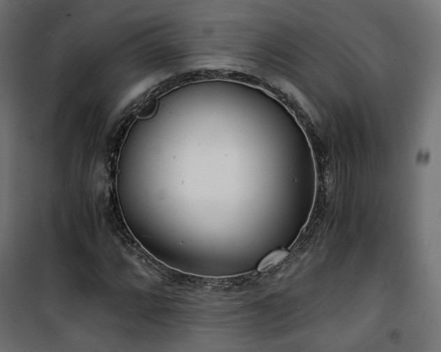 X0000101441064200807141300