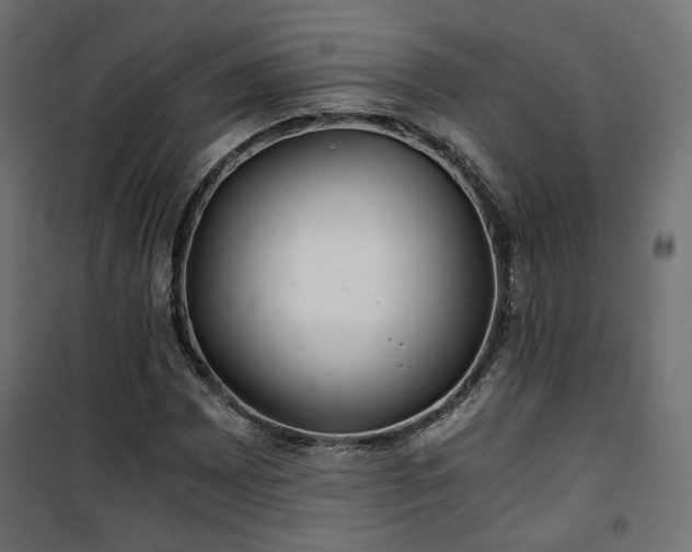 X0000101441065200807141300