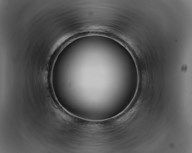 X0000101441066200807141300