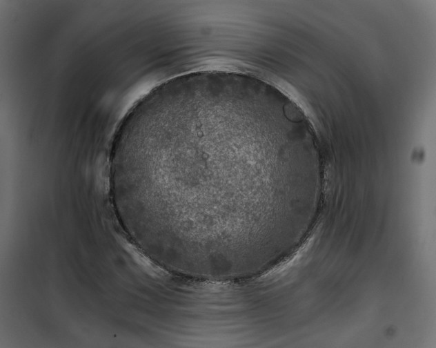 X0000101441067200807141300