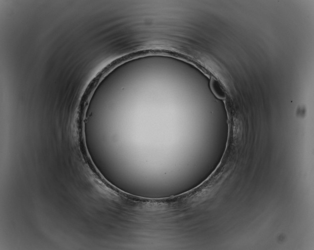 X0000101441068200807141300