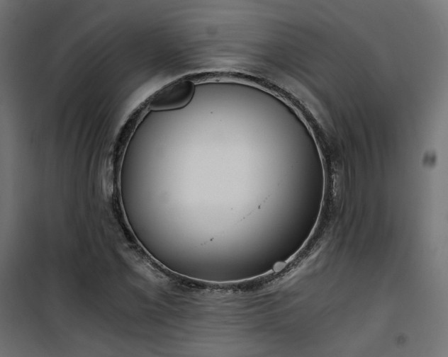 X0000101441069200807141300