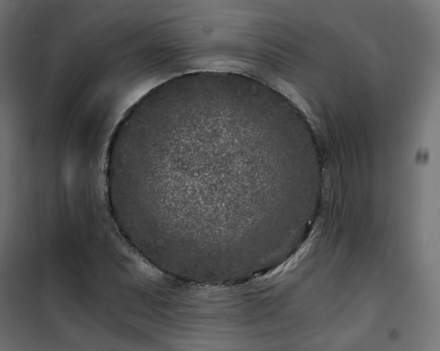 X0000101441071200807141300