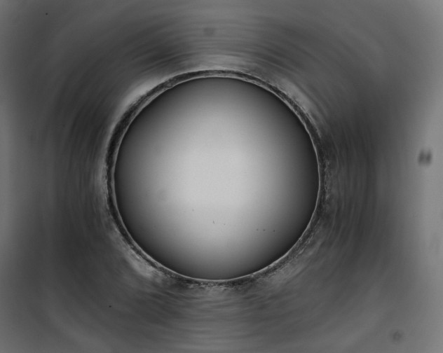 X0000101441072200807141300