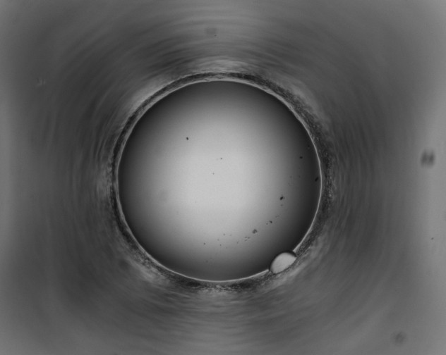 X0000101441073200807141300