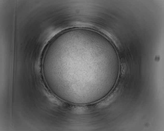 X0000101441074200807141300