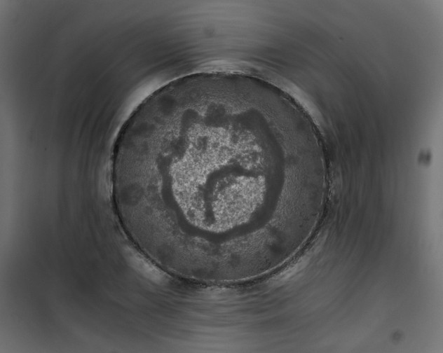 X0000101441075200807141300