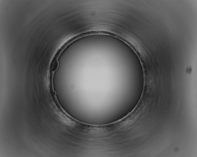 X0000101441076200807141300