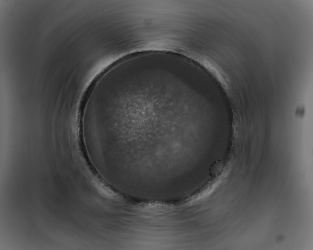 X0000101441077200807141300