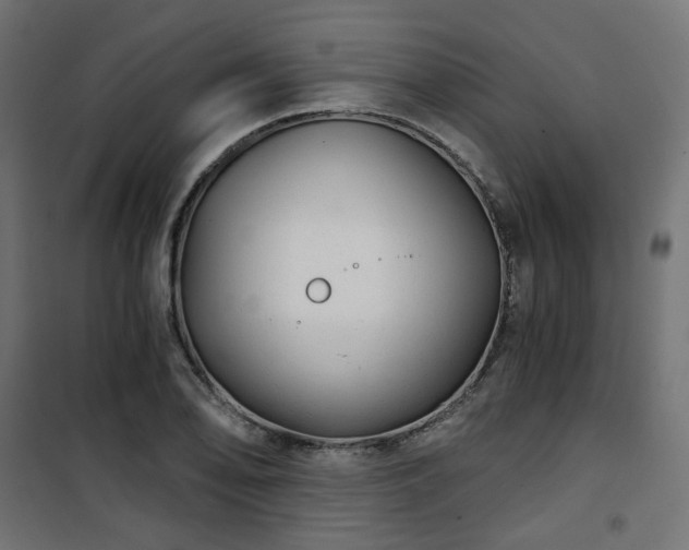 X0000101441078200807141300