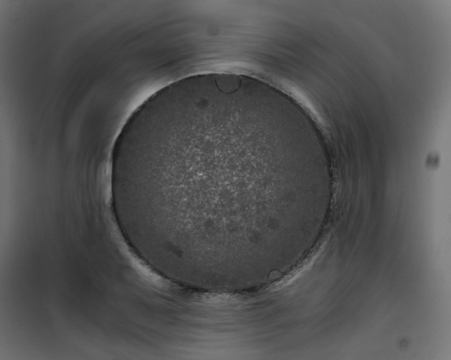 X0000101441079200807141300