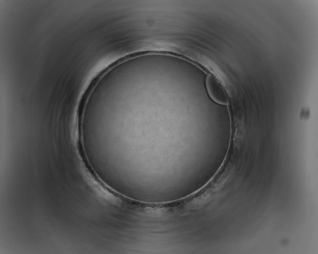 X0000101441080200807141300