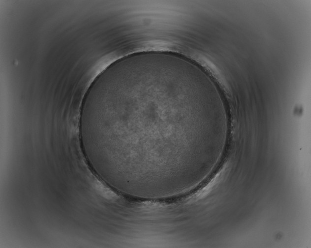 X0000101441081200807141300