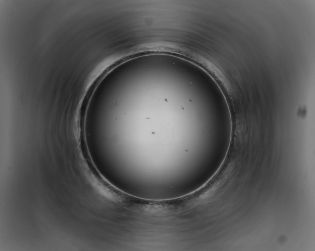 X0000101441082200807141300