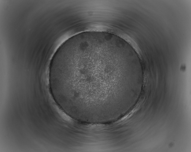 X0000101441083200807141300