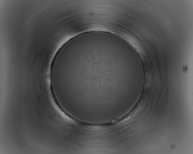 X0000101441084200807141300