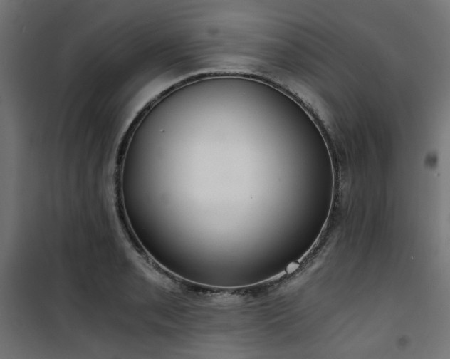 X0000101441085200807141300