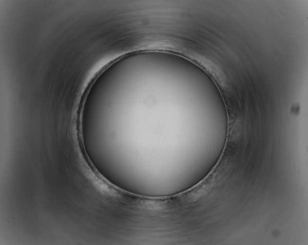 X0000101441086200807141300