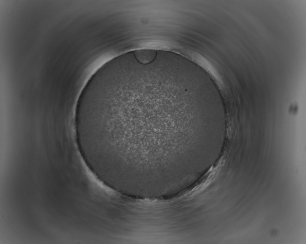 X0000101441087200807141300