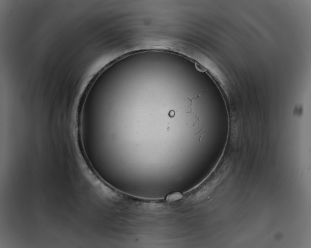 X0000101441088200807141300