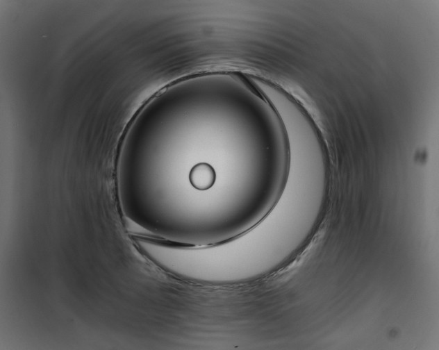 X0000101441089200807141300