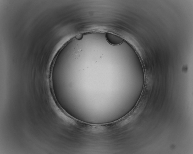 X0000101441090200807141300