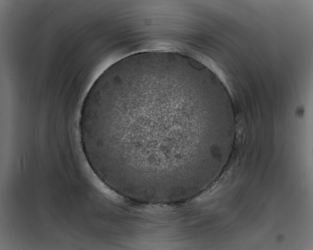 X0000101441091200807141300