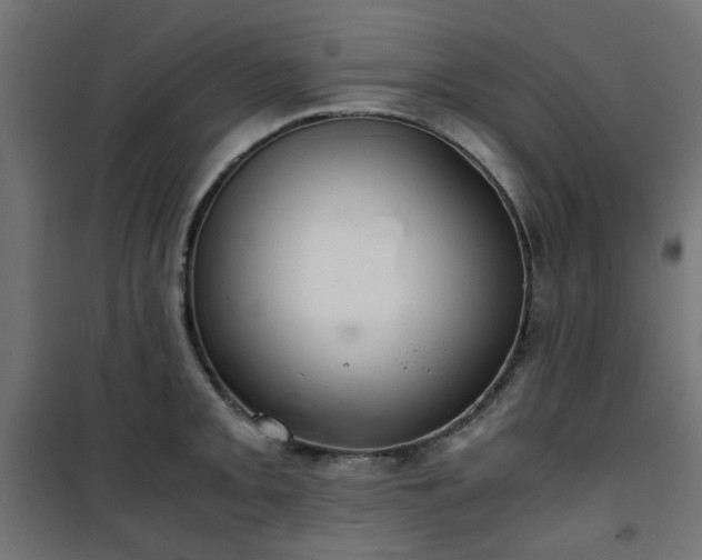 X0000101441093200807141300